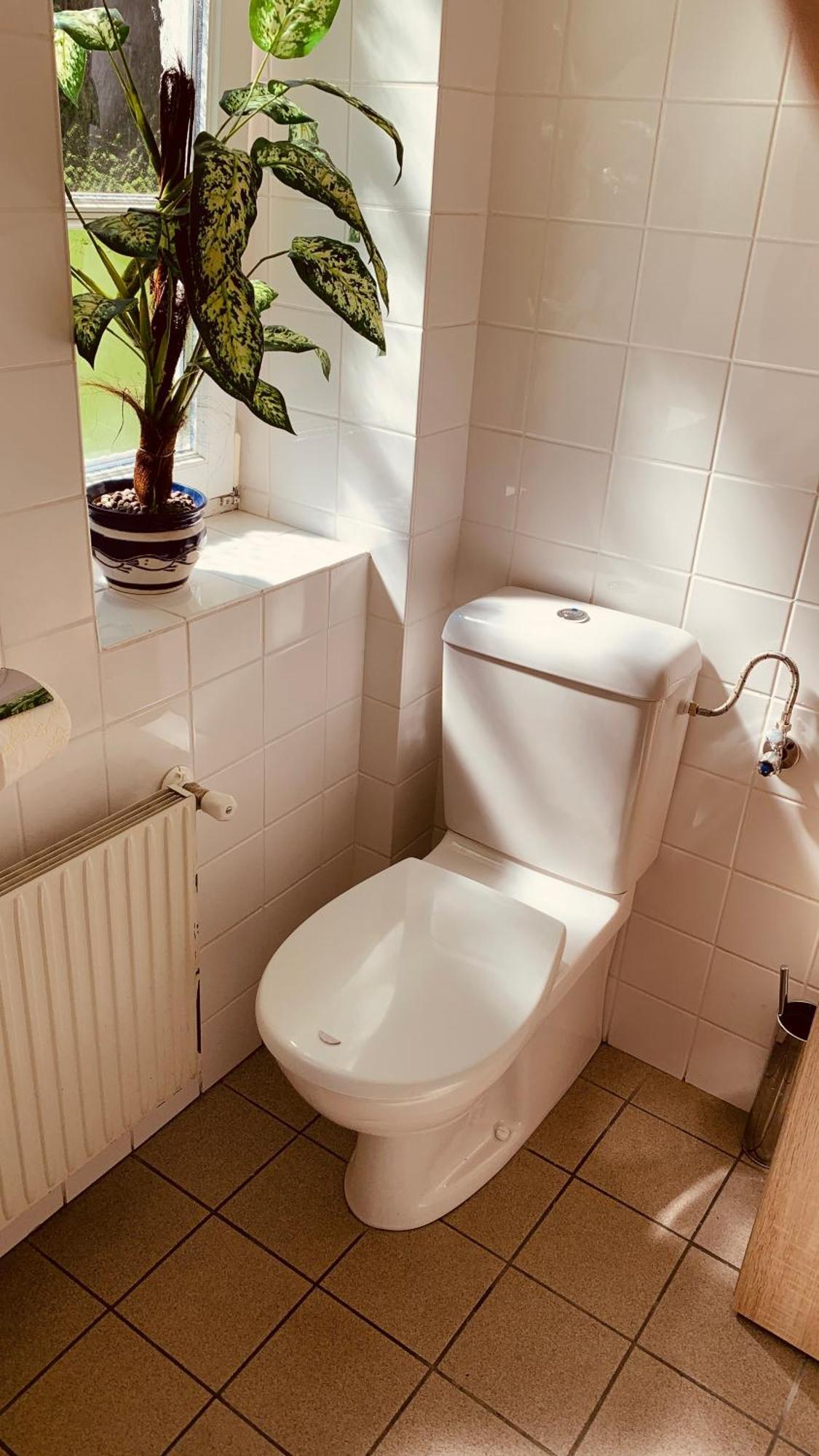 Schoeneben Apartment Zollhaus Schoneben  Dış mekan fotoğraf